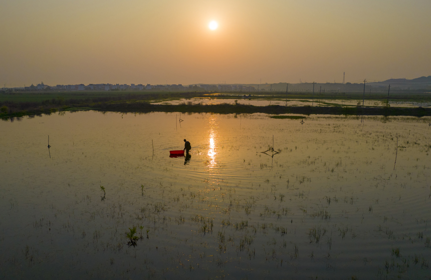 春のザリガニ出荷シーズン到來　江西省新余市
