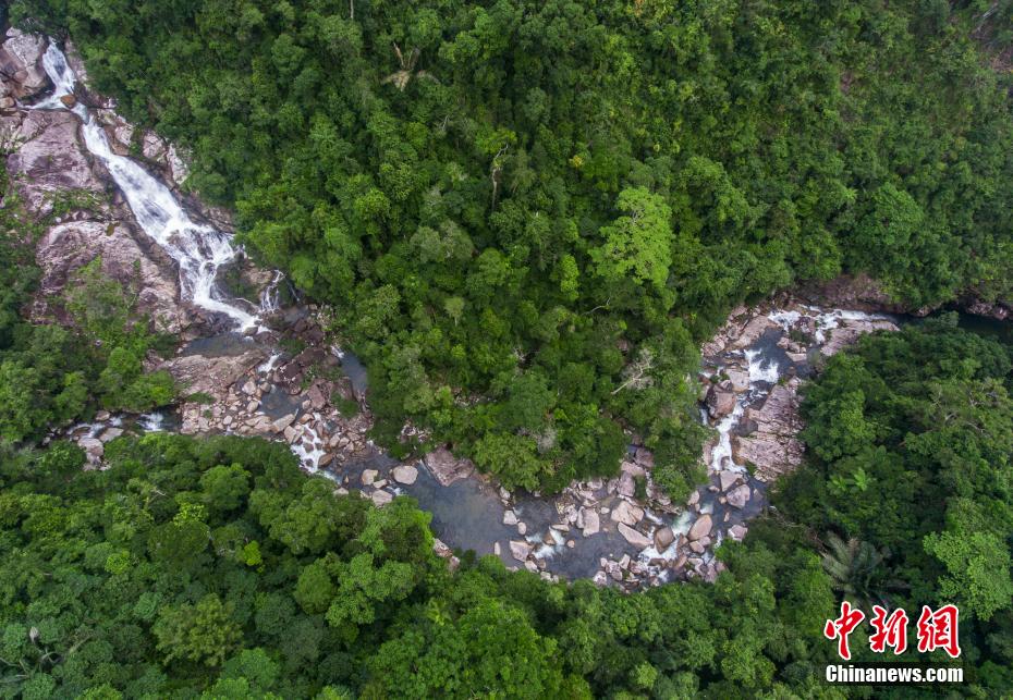上空から撮影した吊羅山雨林渓流（撮影?駱雲(yún)飛）。