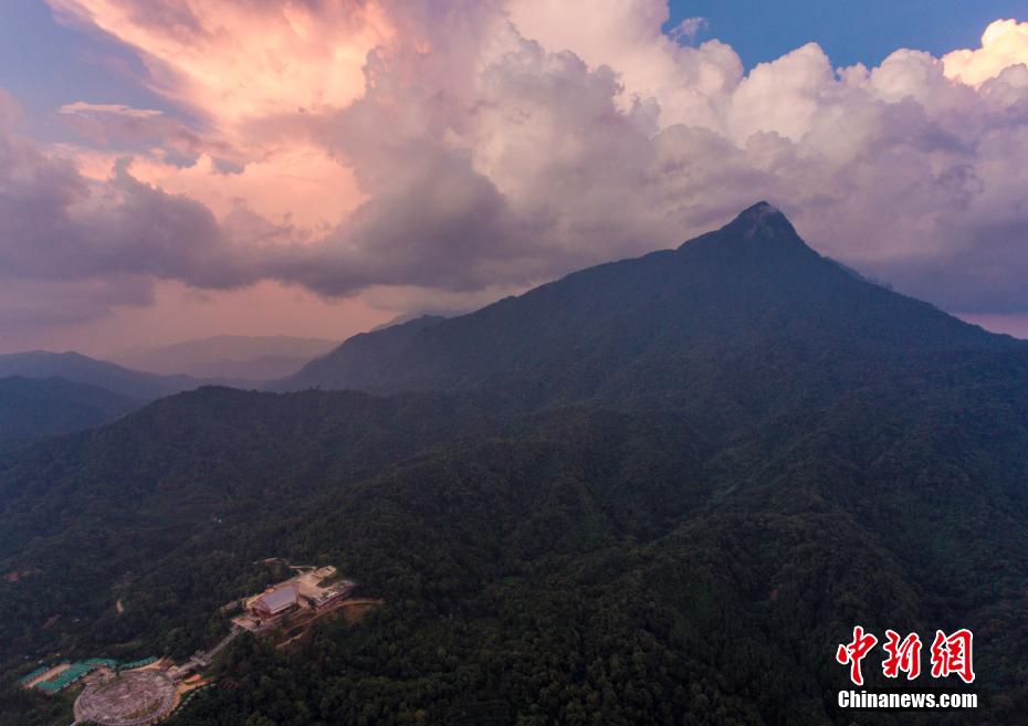 生命の寶庫「海南熱帯雨林國家公園」を訪ねて　海南省