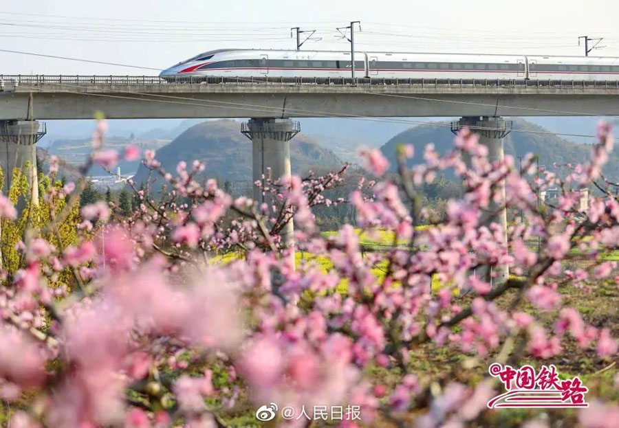 春の息吹を感じられる花と列車の織りなす風(fēng)景