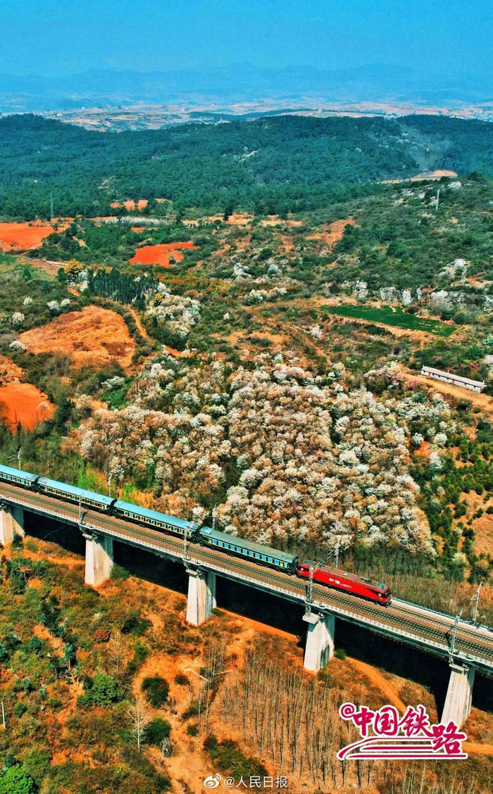 春の息吹を感じられる花と列車の織りなす風(fēng)景