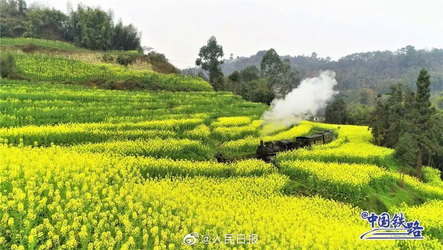 春の息吹を感じられる花と列車(chē)の織りなす風(fēng)景