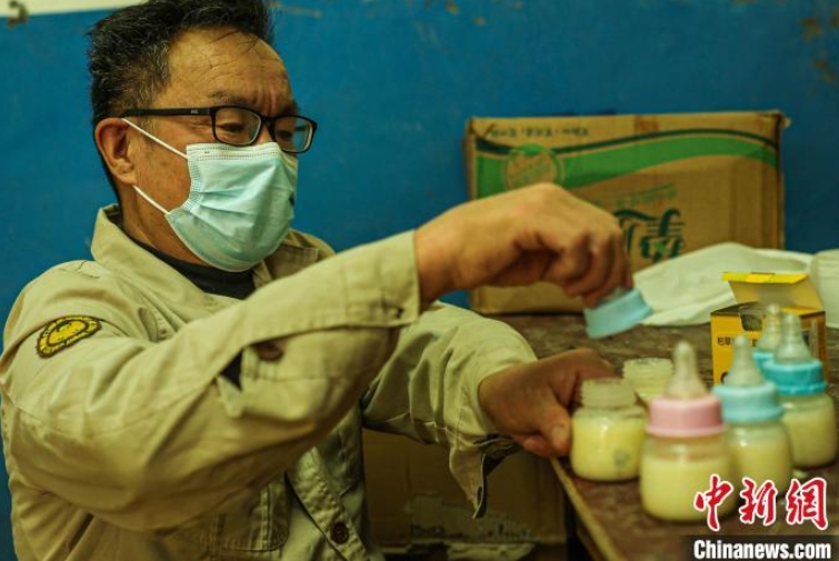 動(dòng)物の赤ちゃんたちが保育園に入園！　山東省栄成