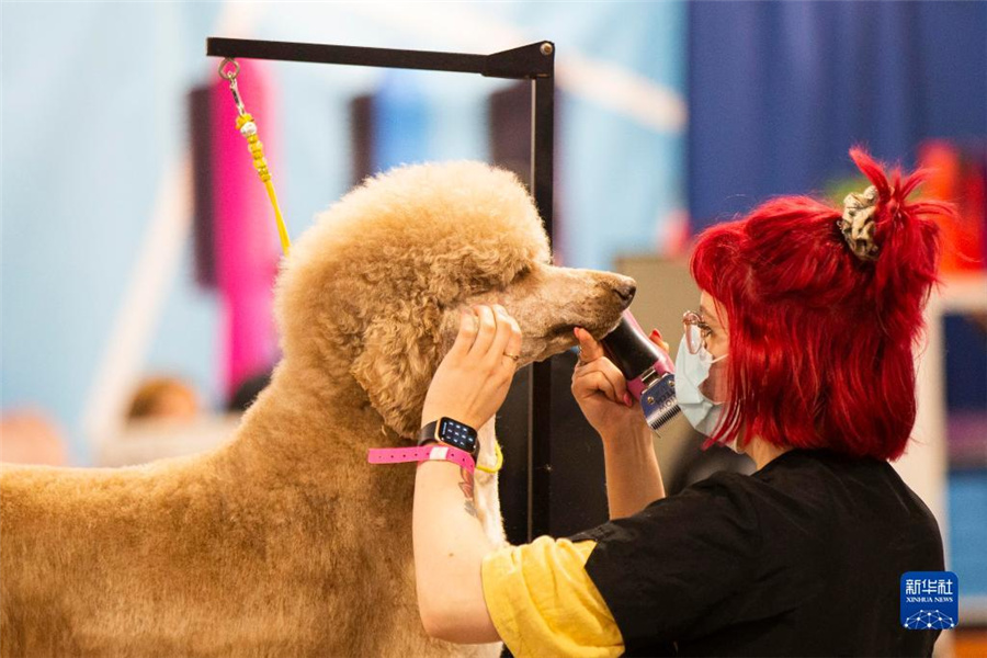 カナダ?ミシサガでペット博覧會が開催