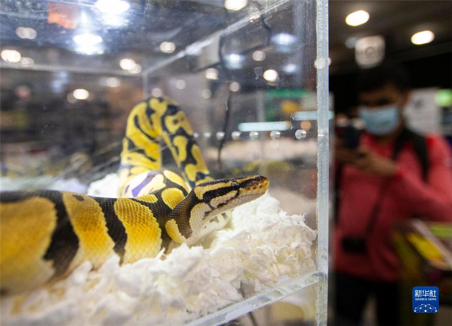 カナダ?ミシサガでペット博覧會(huì)が開(kāi)催