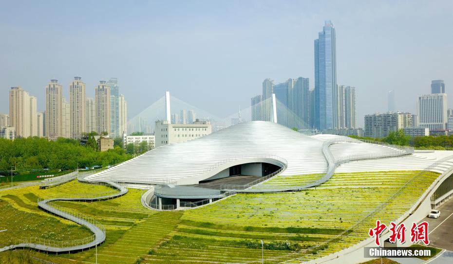 4月18日、上空から撮影した、湖北省武漢市の月湖畔にある「銀色の棚田」のような琴臺美術(shù)館（撮影?張暢）。