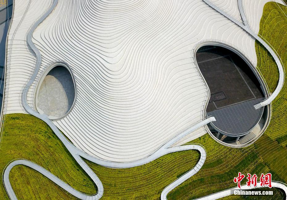 上空から撮影した武漢琴臺(tái)美術(shù)館　湖北省