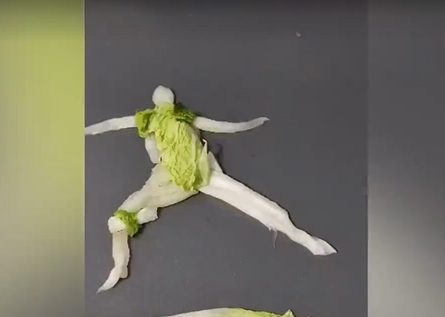 優(yōu)雅なダンスを披露するのは…白菜！？