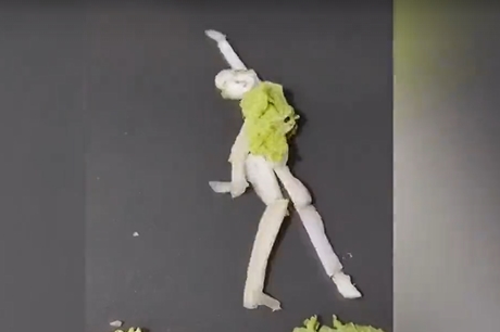 優(yōu)雅なダンスを披露するのは…白菜??？