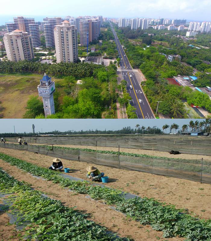 ボアオ時間で見たアジアフォーラム フォーラム開催で見違えるほどの変化