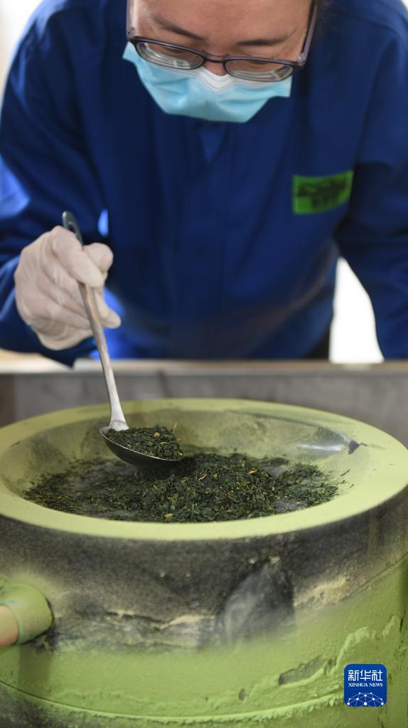 かつて國(guó)営だった茶畑と日本企業(yè)が提攜して生まれた「抹茶基地」　浙江省