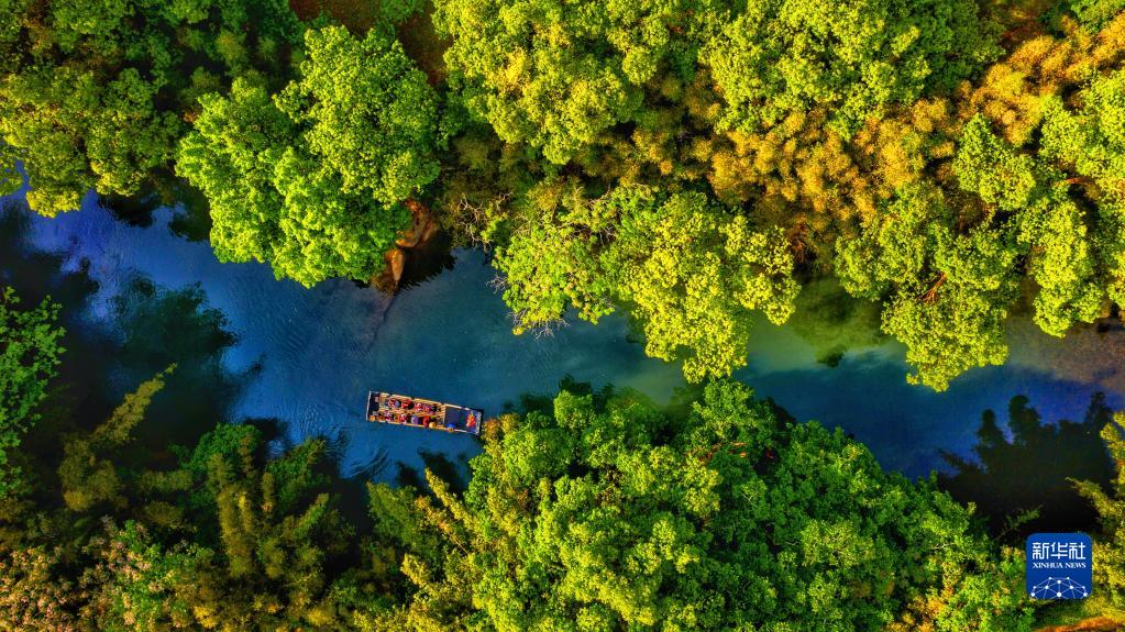 福建省武夷山國家公園九曲渓を竹筏に乗って遊覧する観光客（4月21日、ドローンによる撮影?陳穎）。
