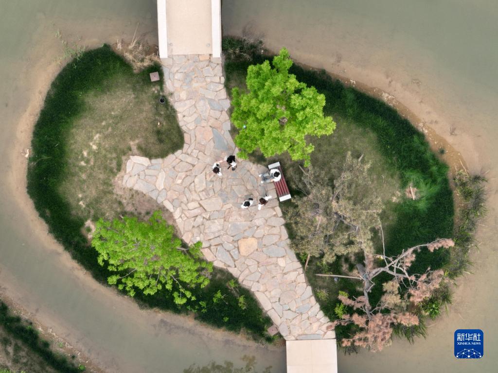 雄安新區(qū)悅?cè)莨珗@に広がる春の景色を俯瞰　河北省