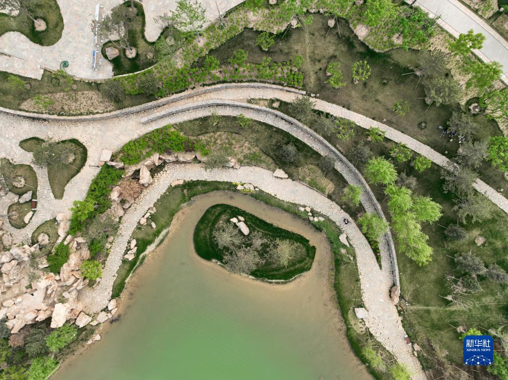 雄安新區(qū)悅?cè)莨珗@に広がる春の景色を俯瞰　河北省