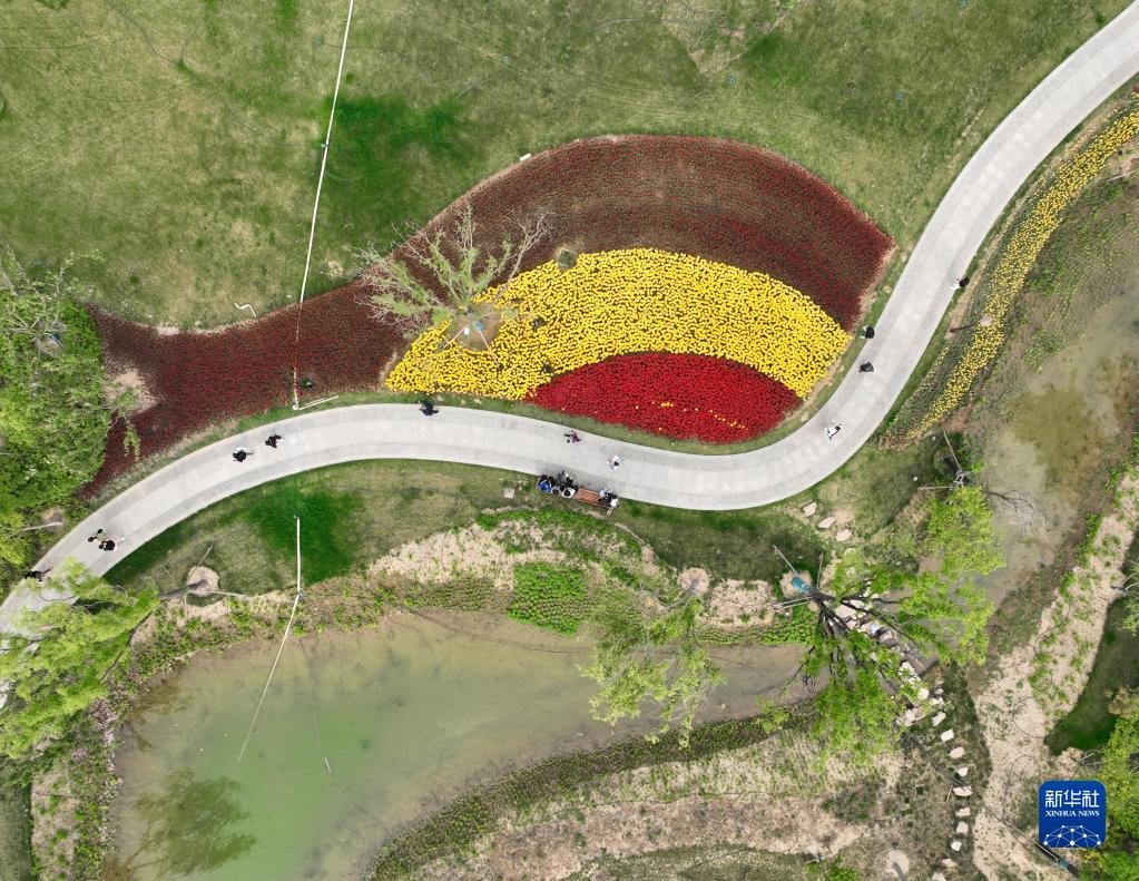 雄安新區(qū)悅?cè)莨珗@に広がる春の景色を俯瞰　河北省