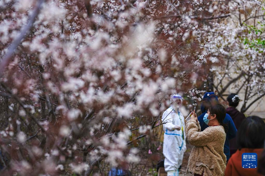 長春市のコミュニティでPCR検査を受けるための列に並びながら、スマホで外の景色を撮影する住民（4月27日撮影?許暢）。