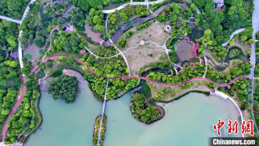 上空から撮影した自然豊かな都市濕地公園　江西省贛州