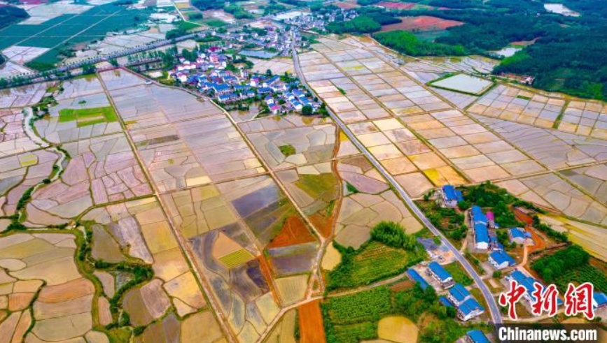 上空から撮影した春のカラフルな村落　江西省