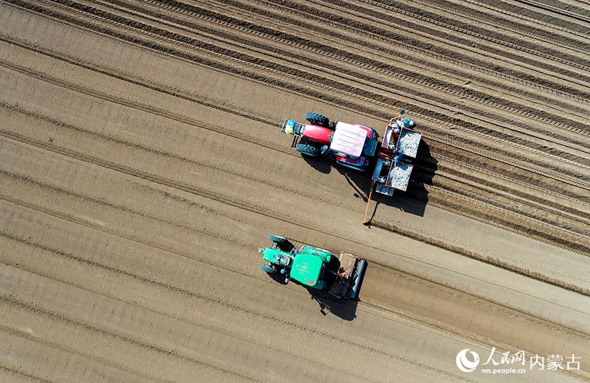 特色ある地元産業(yè)の発展を後押しするスマート農(nóng)業(yè)機械　內(nèi)モンゴル