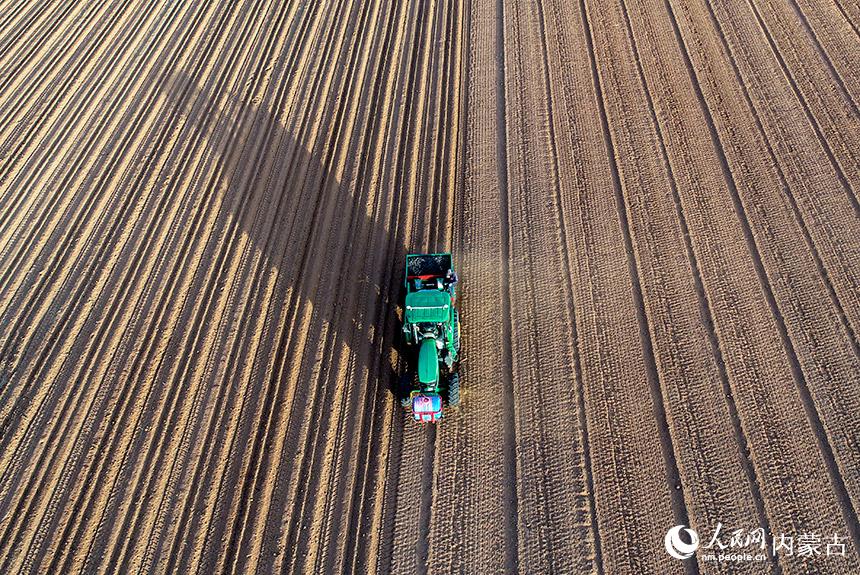 特色ある地元産業(yè)の発展を後押しするスマート農(nóng)業(yè)機(jī)械　內(nèi)モンゴル