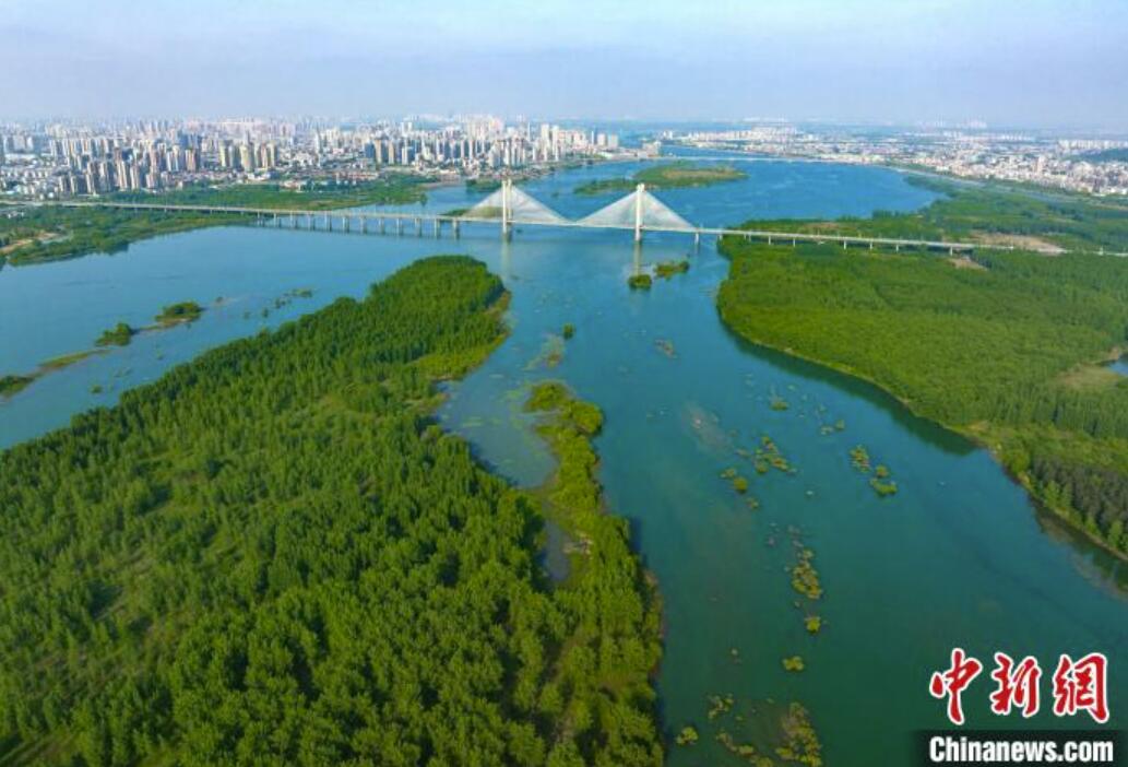 緑豊かな漢江生態(tài)濕地　湖北省襄陽