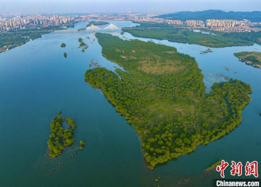 緑豊かな漢江生態(tài)濕地　湖北省襄陽
