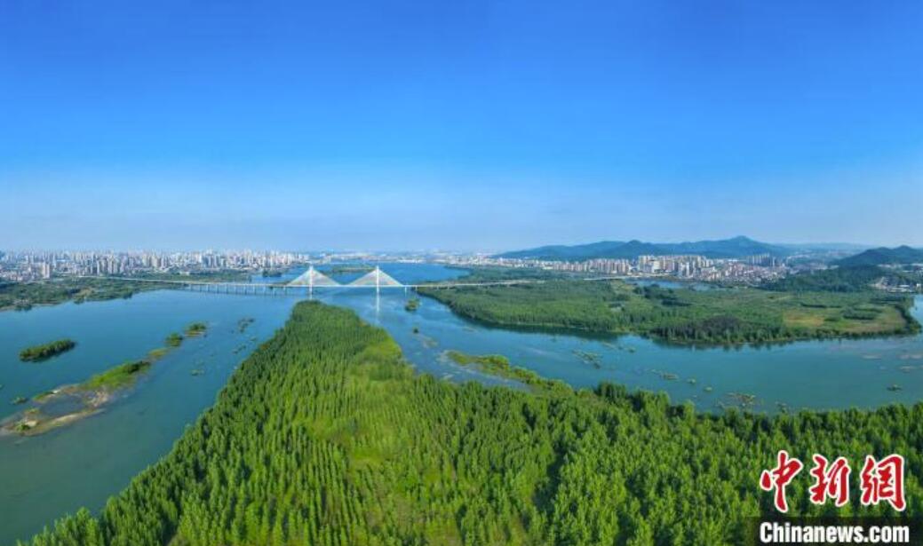 緑豊かな漢江生態(tài)濕地　湖北省襄陽