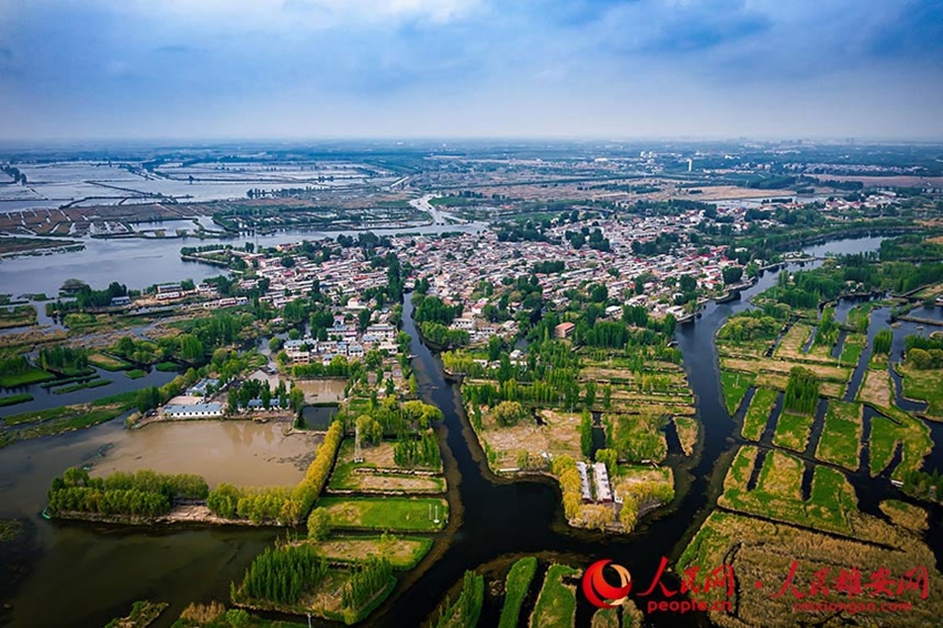 青い空と透き通る水が「競演」する初夏の白洋淀　雄安新區(qū)