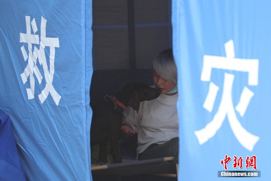 上海市初の動物専用臨時施設(shè)からペット18匹が帰宅し飼い主と再會へ