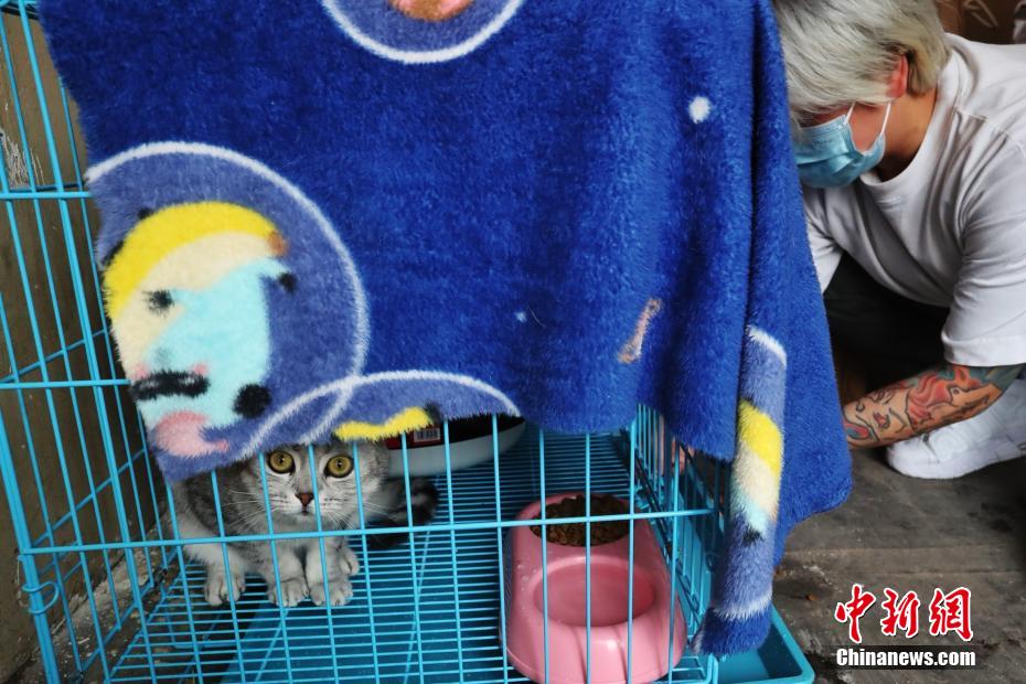 上海市初の動物専用臨時施設からペット18匹が帰宅し飼い主と再會へ