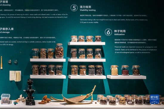 雲(yún)南省昆明市の「種子博物館」を訪ねて