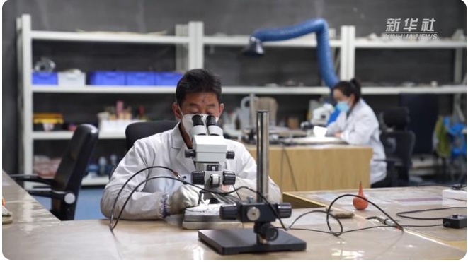 化石修復(fù)作業(yè)の難しさとは？「化石修復(fù)師」の仕事に迫る