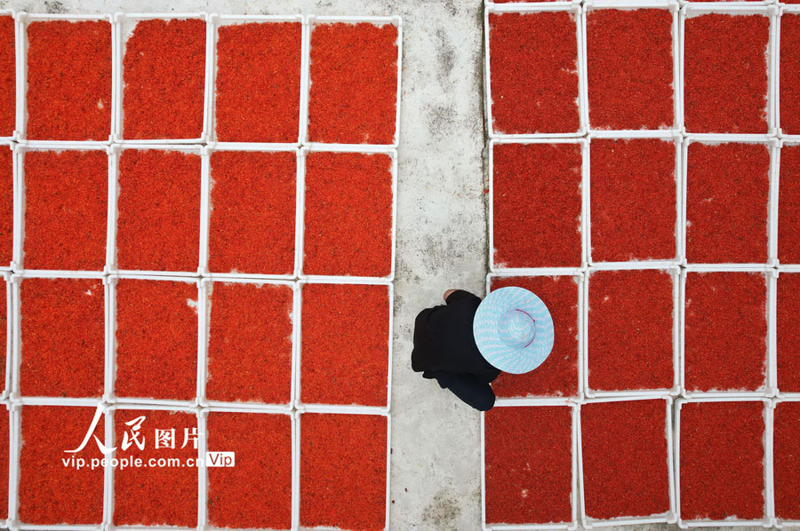 特色ある栽培業(yè)で住民の増収を後押し　四川省內江