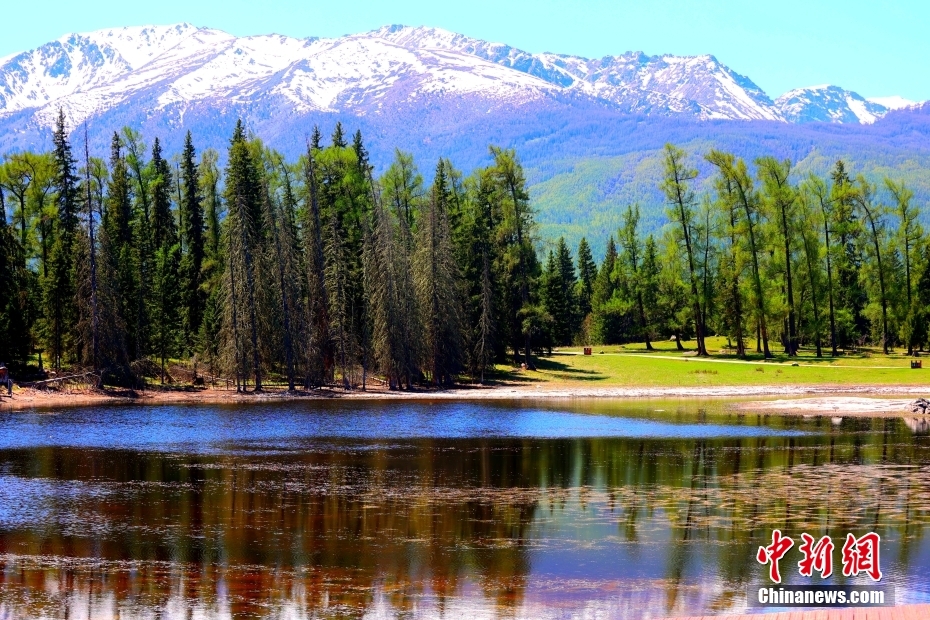 絵のように美しいカナス湖の風(fēng)景　新疆