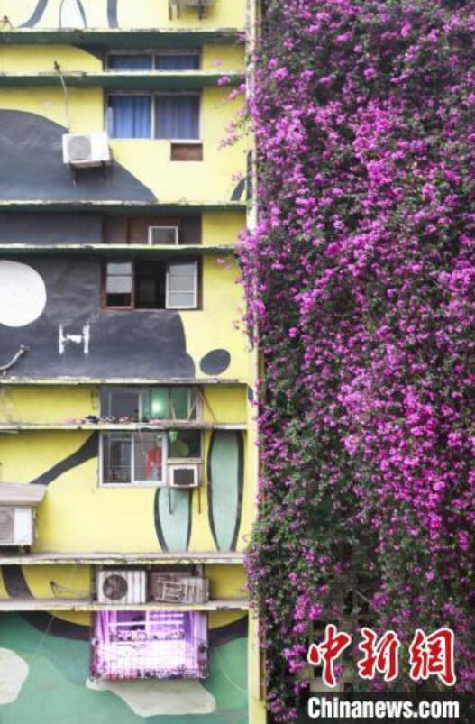 住居ビルに高さ30メートルの「ブーゲンビリアの滝」　重慶市