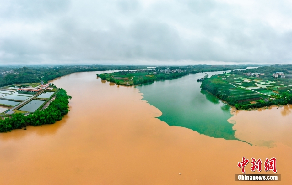 三江口に「オシドリ河」の景観現(xiàn)る　広西