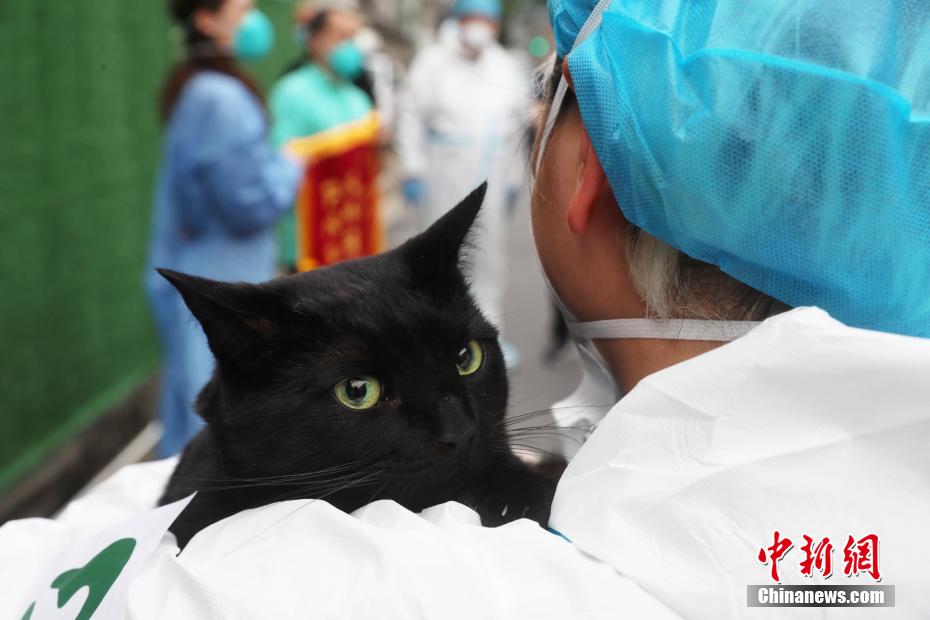 上海市初の「動物専用臨時施設(shè)」が任務(wù)を終え、閉鎖へ