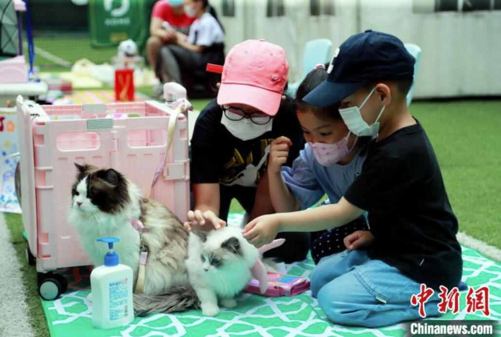 「こどもバザール」で國際児童デー祝う上海市の子供たち