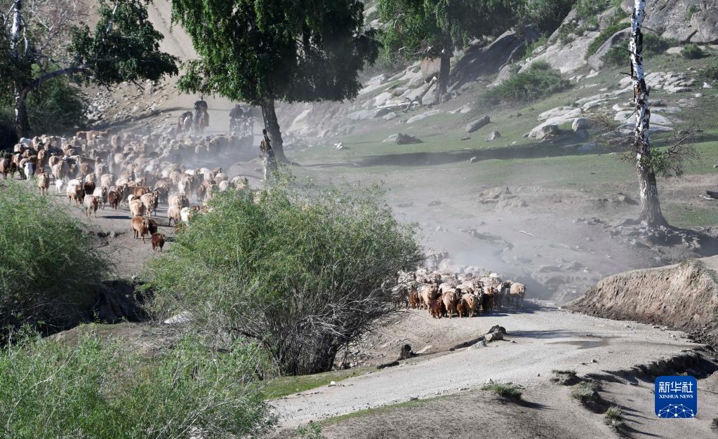 夏の放牧場(chǎng)へと家畜の移動(dòng)を始める新疆の牧畜民たち