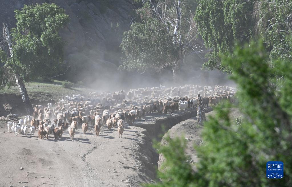夏の放牧場へと家畜の移動を始める新疆の牧畜民たち