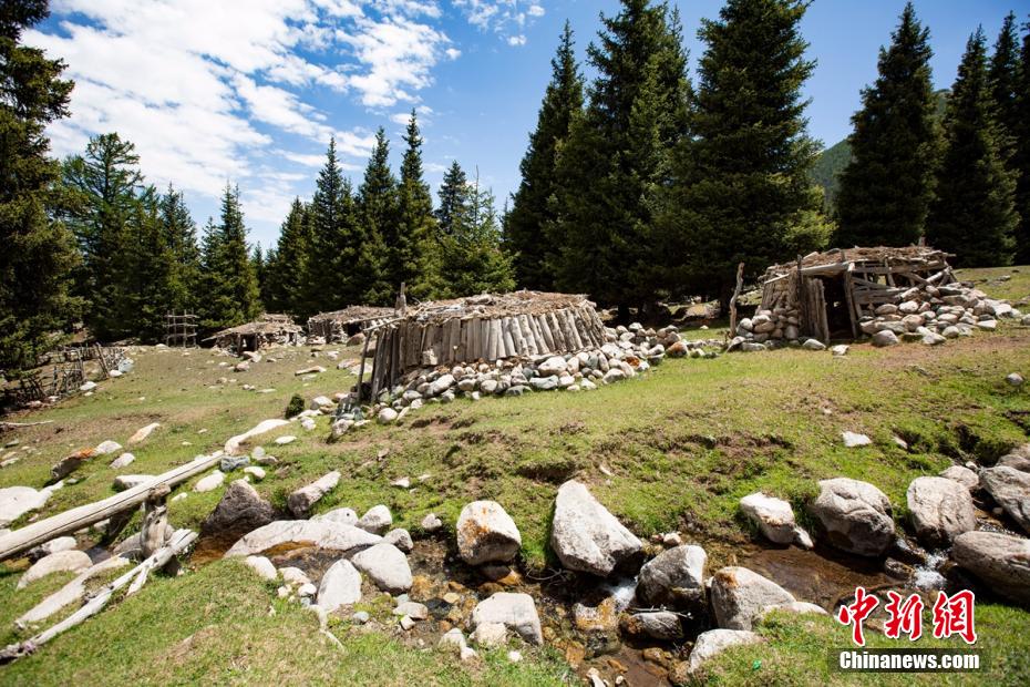 1年で最も美しい季節(jié)に入ったバリコン草原　新疆