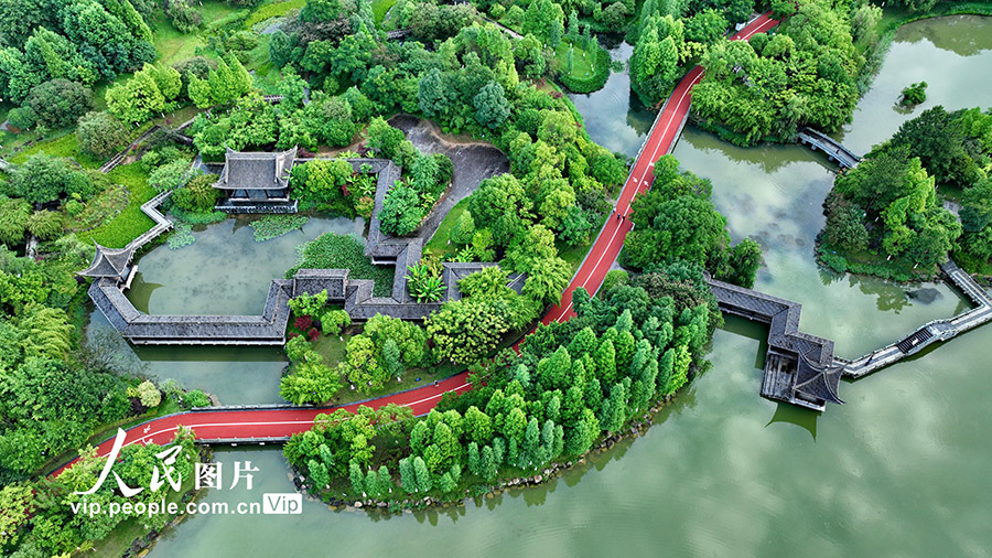 江西省贛州市章貢區(qū)にある都市濕地公園には、生い茂った緑や遊歩道、ジョギングコース、サイクリングコースなど各施設(shè)が整備され、市民のレジャー?フィットネスのための素晴らしい環(huán)境を打ち立てている（6月12日撮影?朱海鵬）。