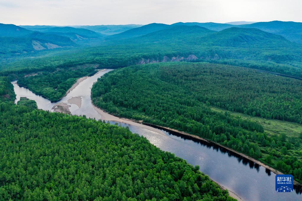 夏の林?！?nèi)モンゴル