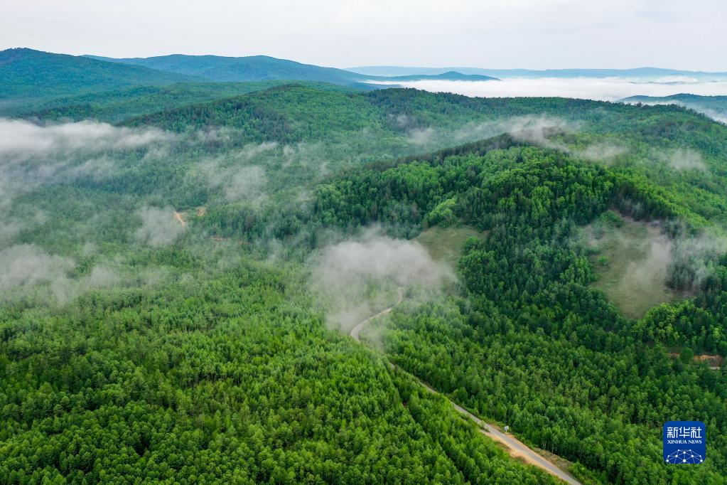 夏の林?！去猊螗触?></a></td></tr><tr><td class=