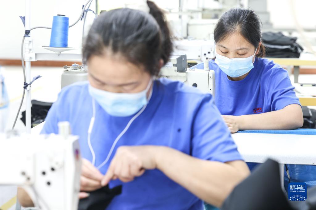 武陵山エリアにおける「輸出経済」　貴州省務(wù)川