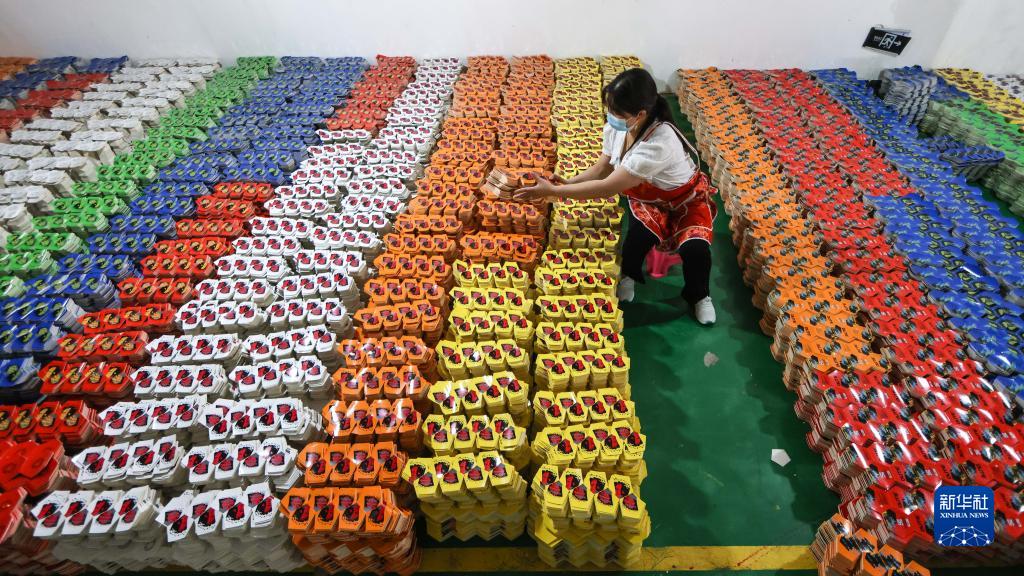 武陵山エリアにおける「輸出経済」　貴州省務川