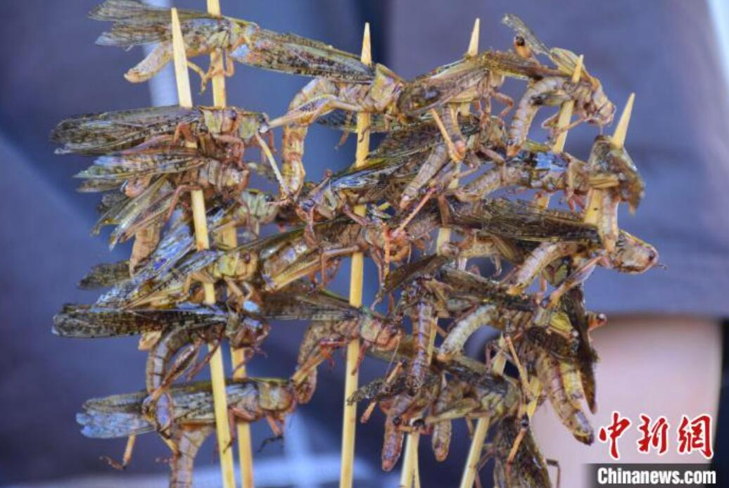 バッタの串焼き（撮影?馬芙蓉）。