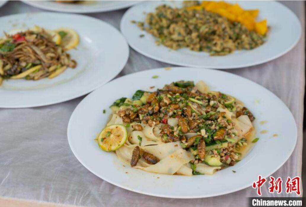 お味はいかが？華中農(nóng)業(yè)大學(xué)主催の「昆蟲(chóng)の宴」　湖北省