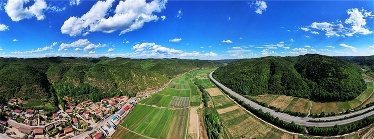 夏の田園風(fēng)景広がる「陝北の江南」と言われている川荘村