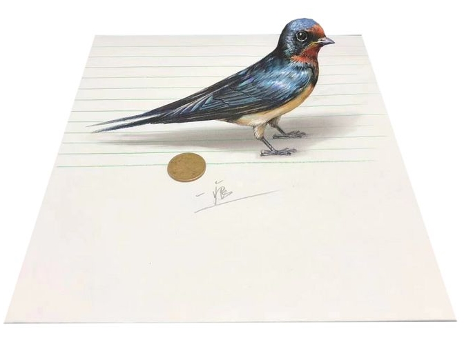 オウムも思わずついばむほどリアルな絵が話(huà)題に